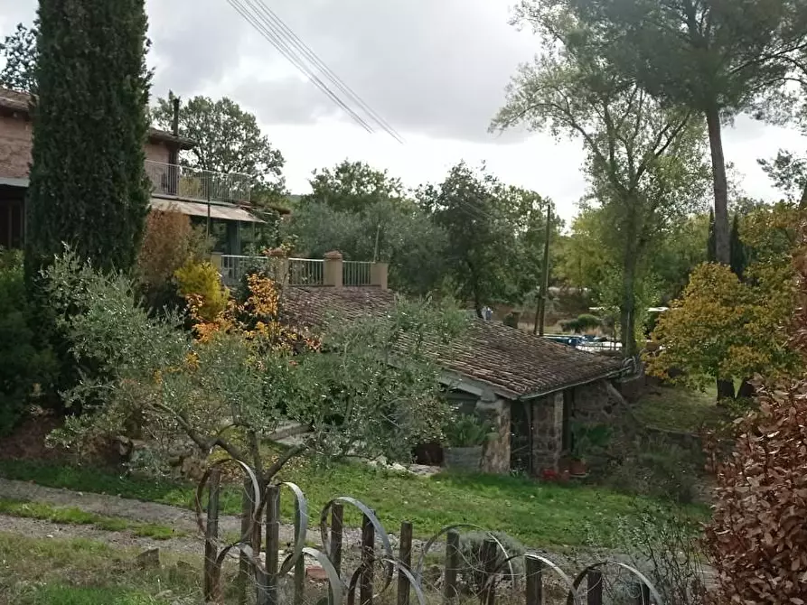 Immagine 23 di Rustico / casale in vendita  a Manciano
