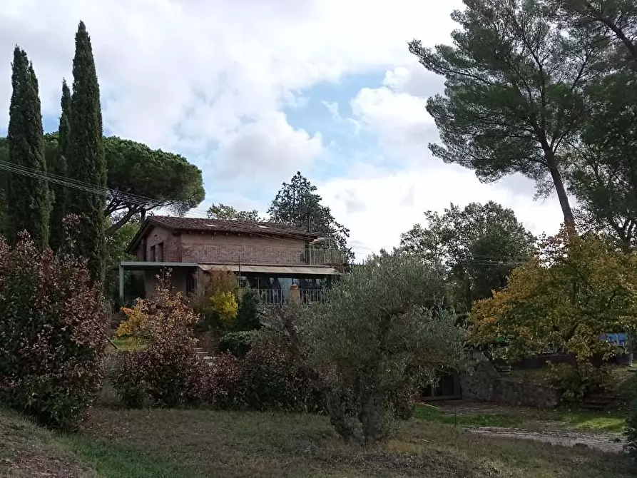 Immagine 24 di Rustico / casale in vendita  a Manciano