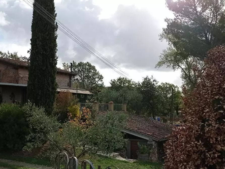 Immagine 22 di Rustico / casale in vendita  a Manciano