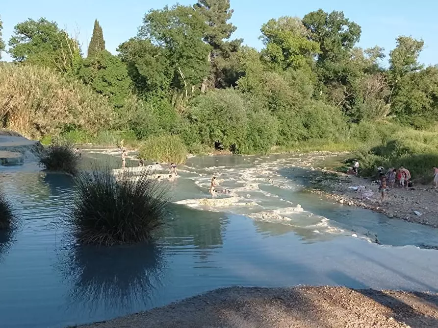 Immagine 27 di Rustico / casale in vendita  a Manciano