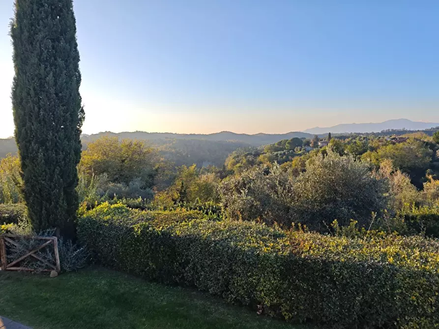 Immagine 31 di Appartamento in vendita  a Palaia