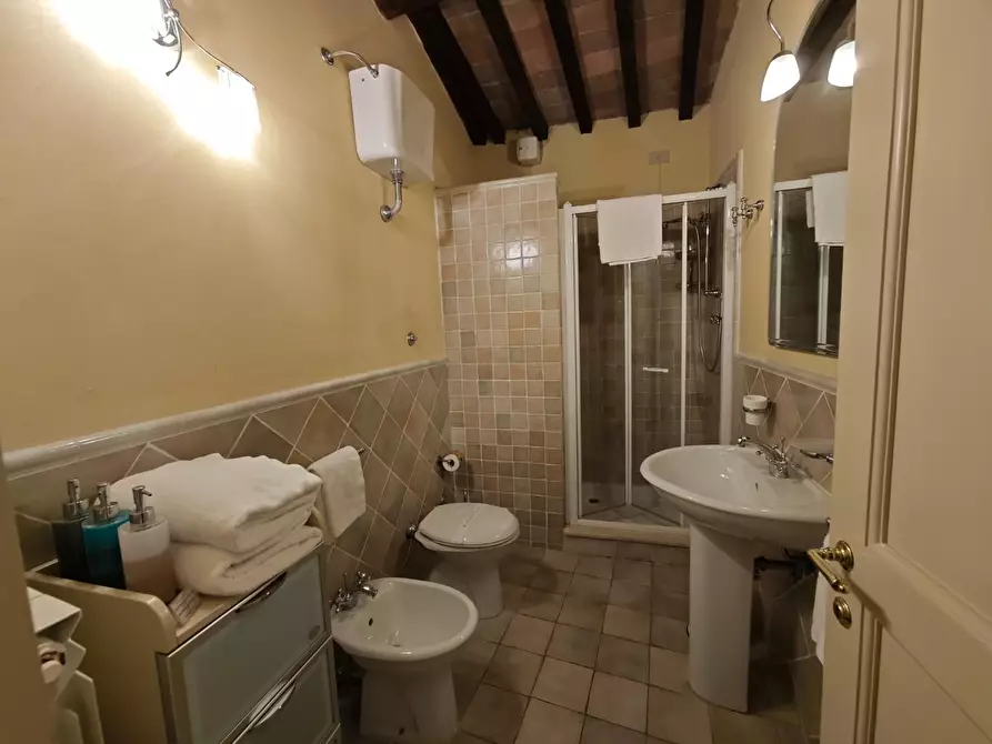 Immagine 15 di Appartamento in vendita  a Palaia