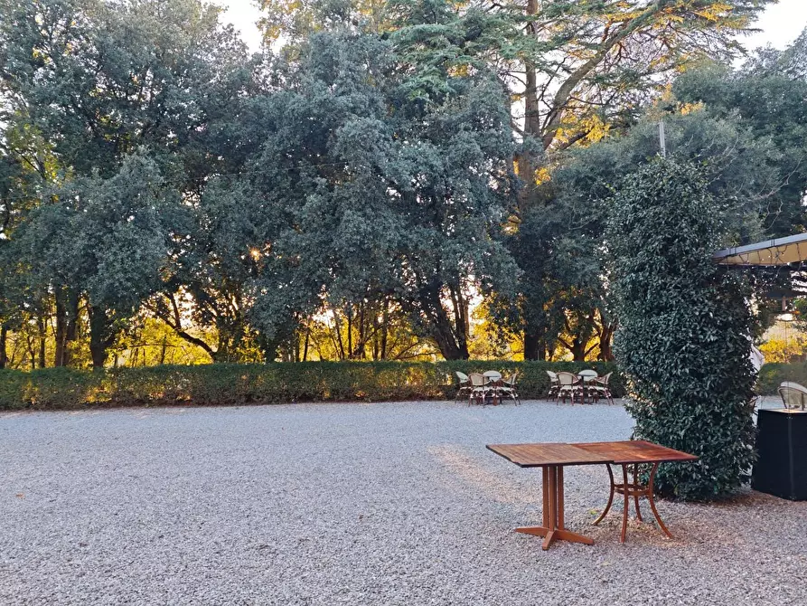 Immagine 22 di Appartamento in vendita  a Palaia