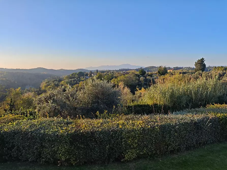 Immagine 30 di Appartamento in vendita  a Palaia