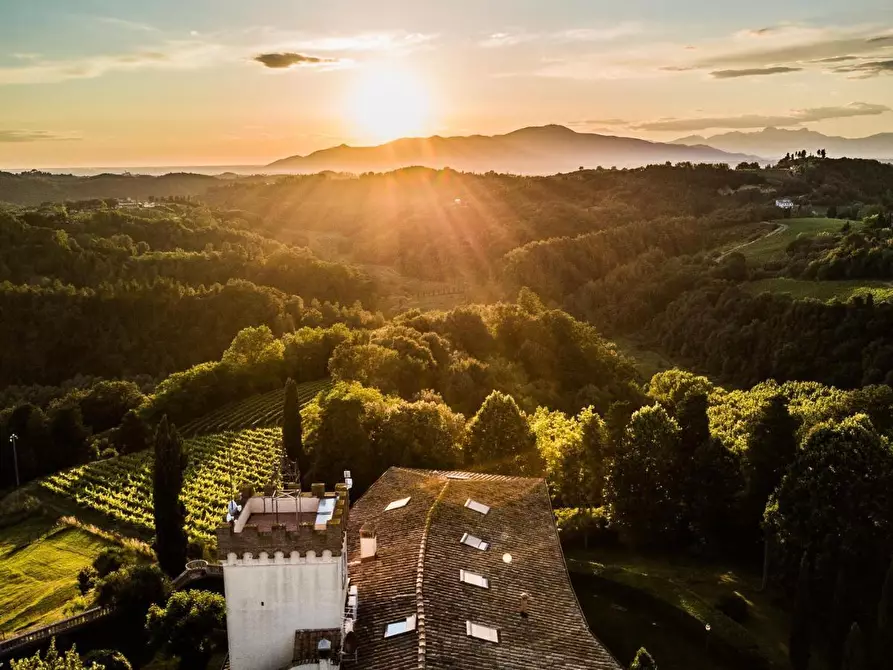 Immagine 37 di Appartamento in vendita  a Palaia