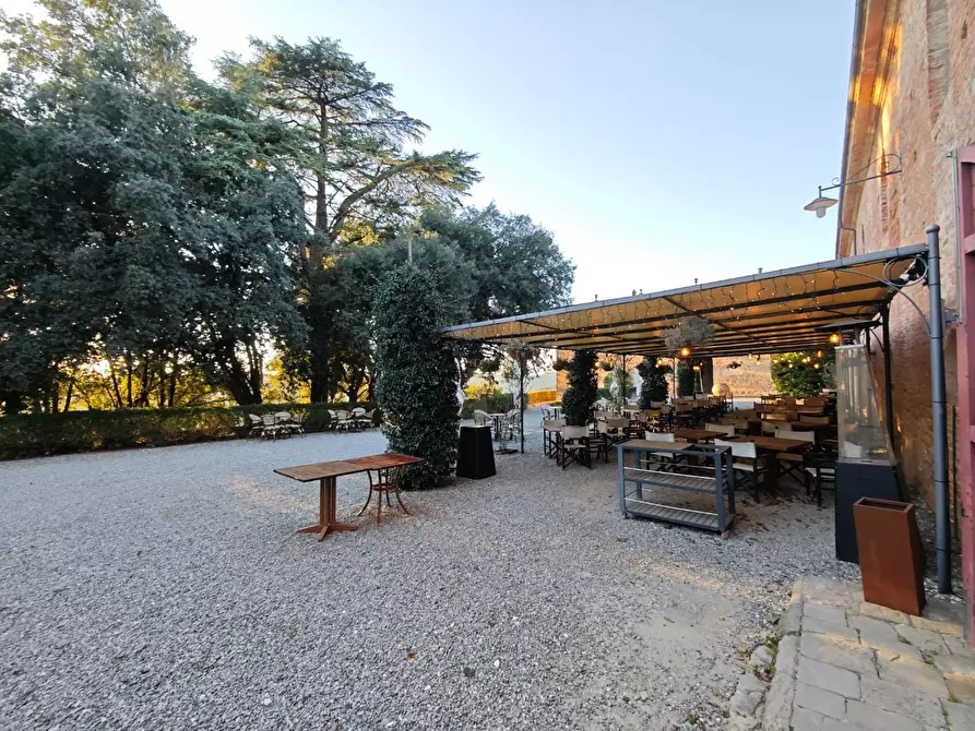 Immagine 23 di Appartamento in vendita  a Palaia