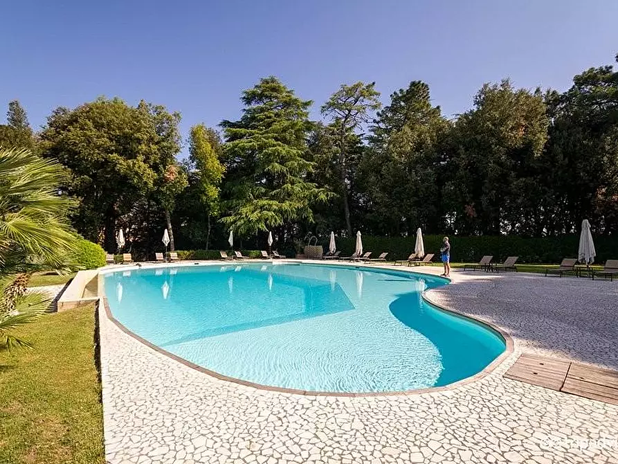 Immagine 38 di Appartamento in vendita  a Palaia