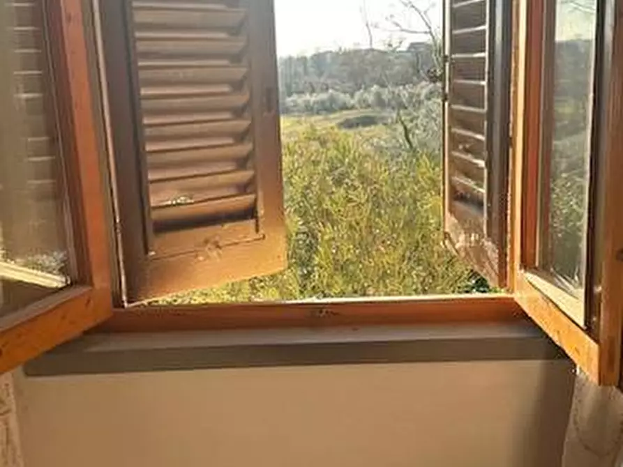 Immagine 9 di Terratetto in vendita  a Lamporecchio