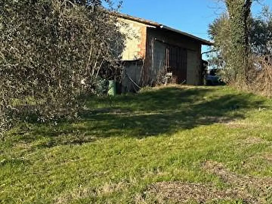 Immagine 18 di Terratetto in vendita  a Lamporecchio