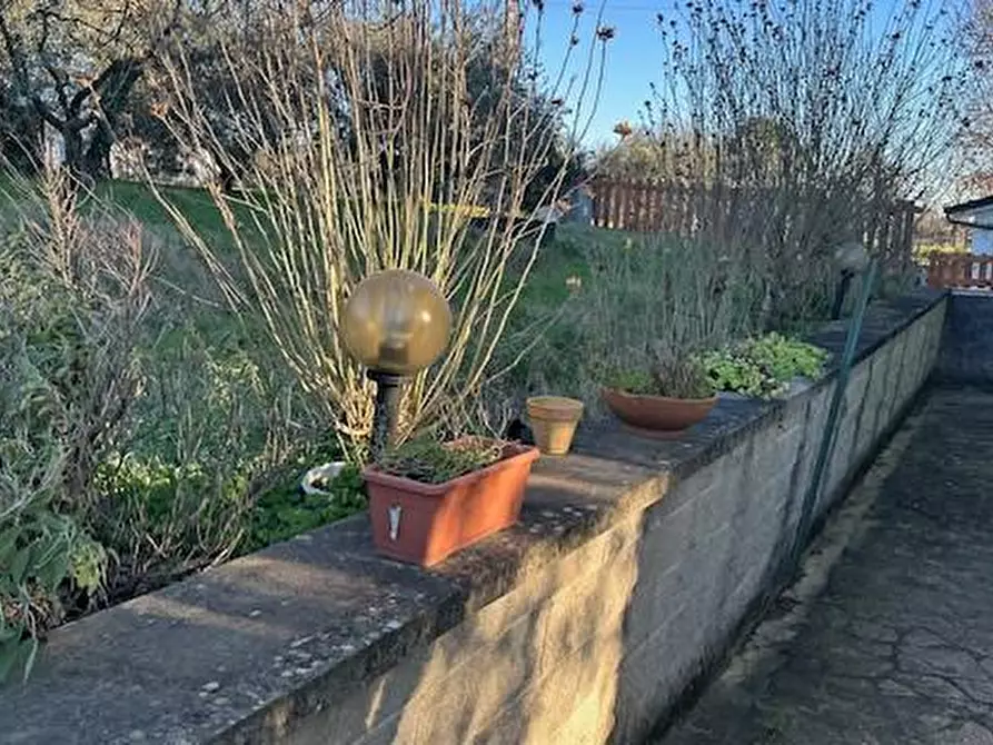 Immagine 14 di Terratetto in vendita  a Lamporecchio