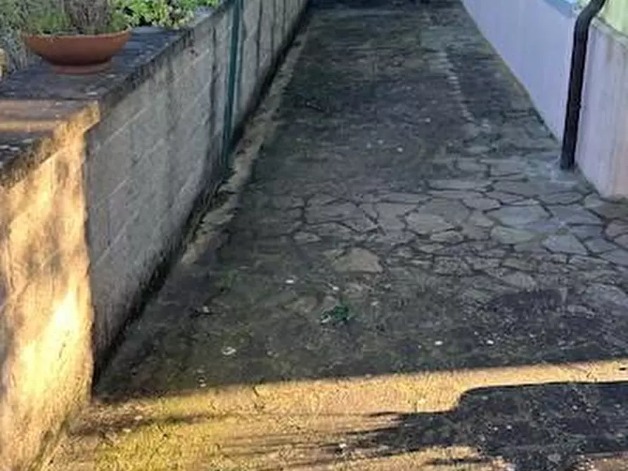 Immagine 13 di Terratetto in vendita  a Lamporecchio