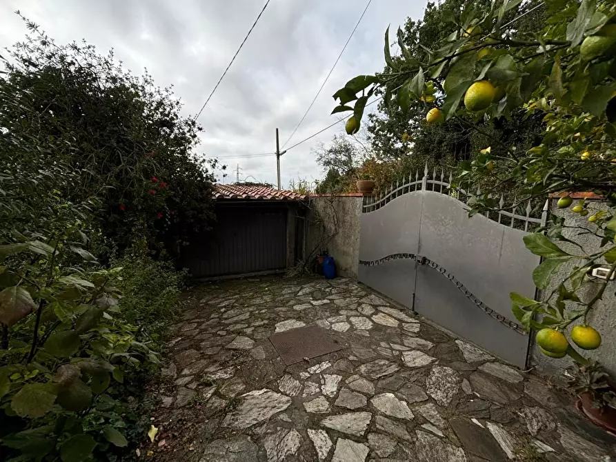 Immagine 41 di Casa bifamiliare in vendita  a San Giuliano Terme