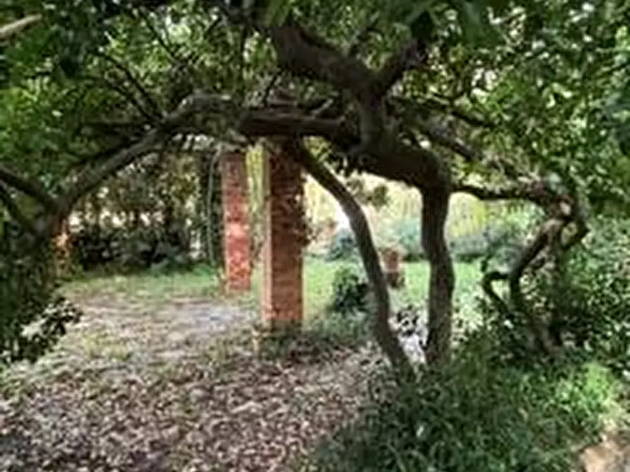 Immagine 5 di Casa bifamiliare in vendita  a San Giuliano Terme