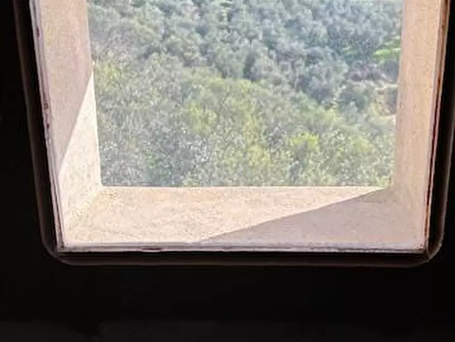 Immagine 13 di Casa colonica in vendita  a Vinci