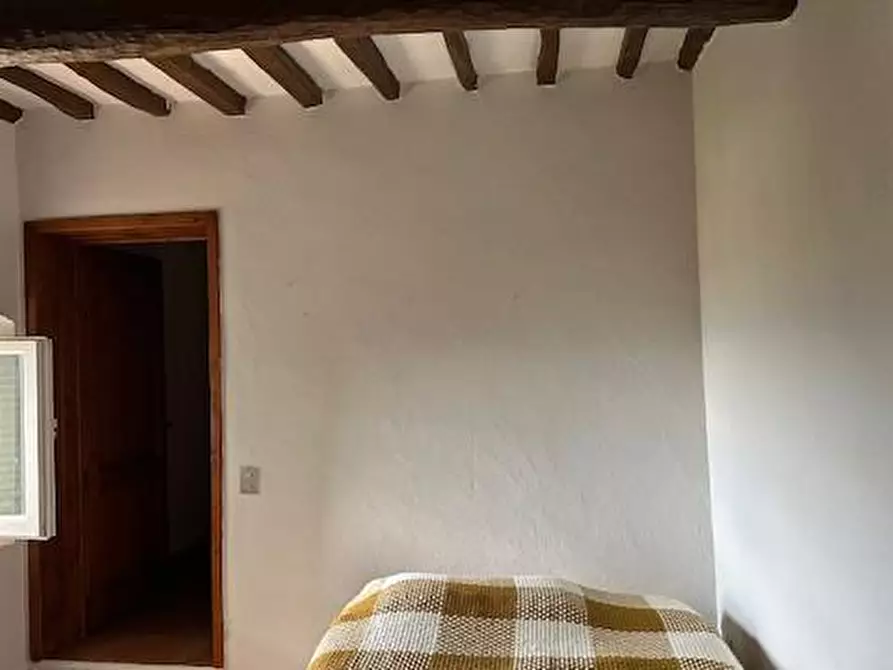 Immagine 12 di Casa colonica in vendita  a Vinci