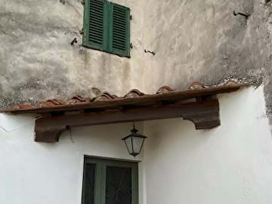 Immagine 21 di Casa colonica in vendita  a Vinci