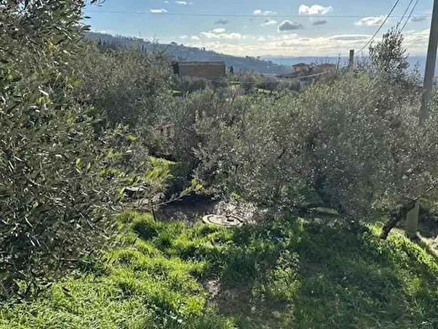 Immagine 4 di Casa colonica in vendita  a Vinci