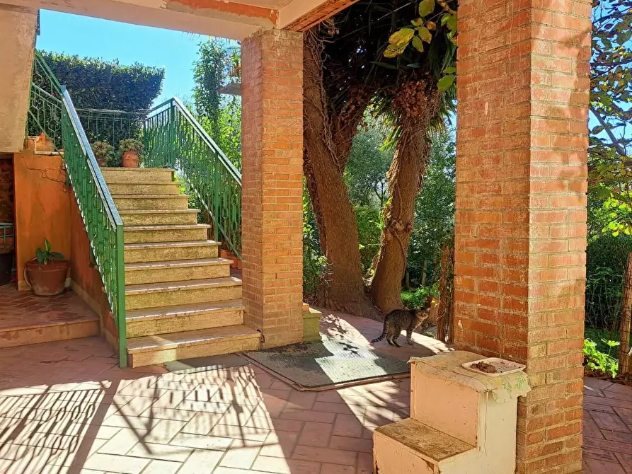 Immagine 3 di Terratetto in vendita  a Capannoli