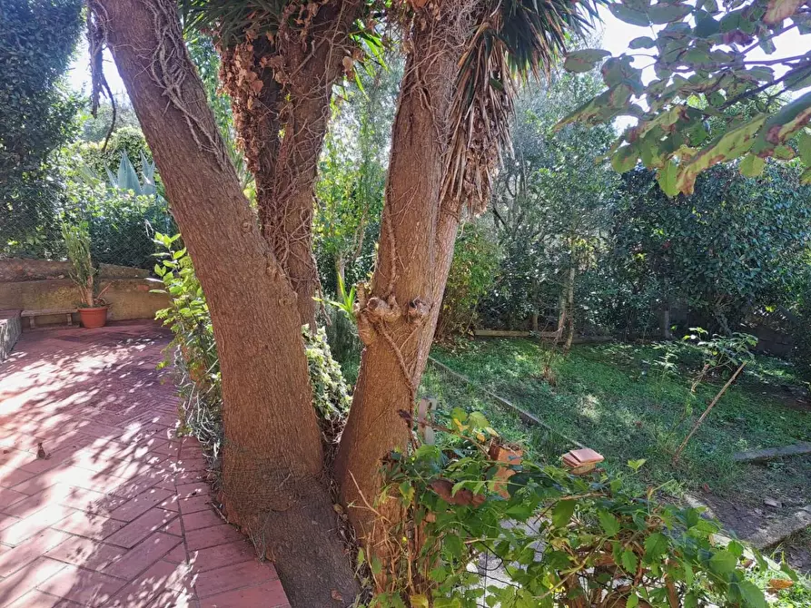 Immagine 25 di Terratetto in vendita  a Capannoli