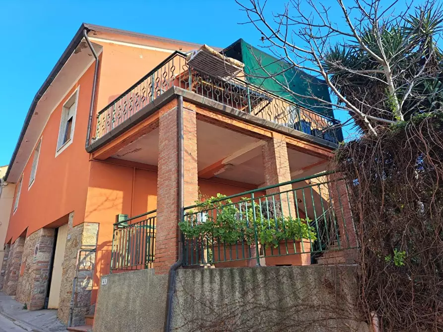 Immagine 17 di Terratetto in vendita  a Capannoli