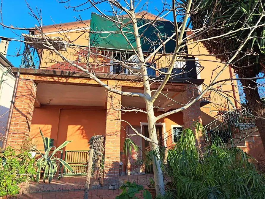 Immagine 18 di Terratetto in vendita  a Capannoli