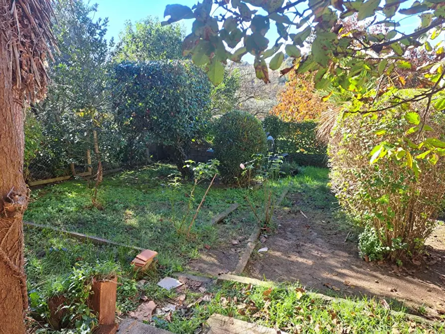 Immagine 24 di Terratetto in vendita  a Capannoli