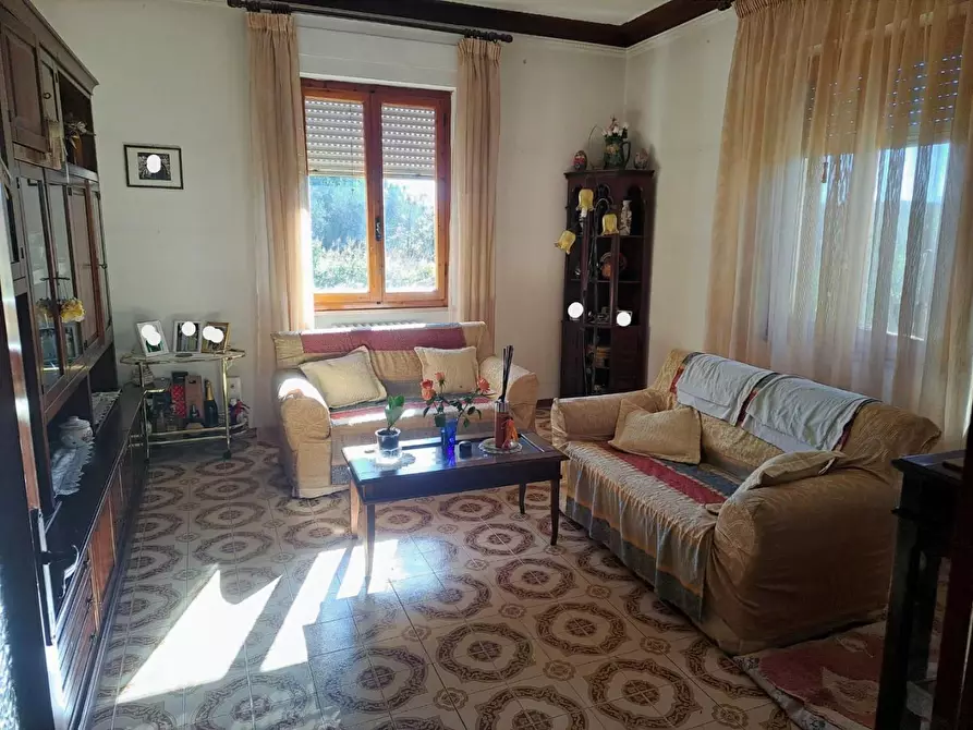 Immagine 5 di Terratetto in vendita  a Capannoli