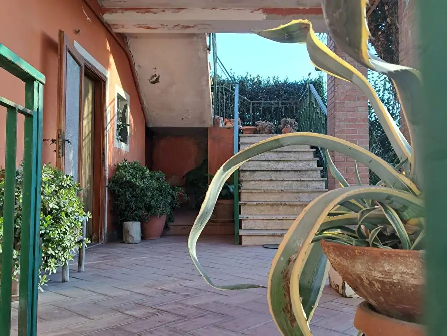 Immagine 4 di Terratetto in vendita  a Capannoli