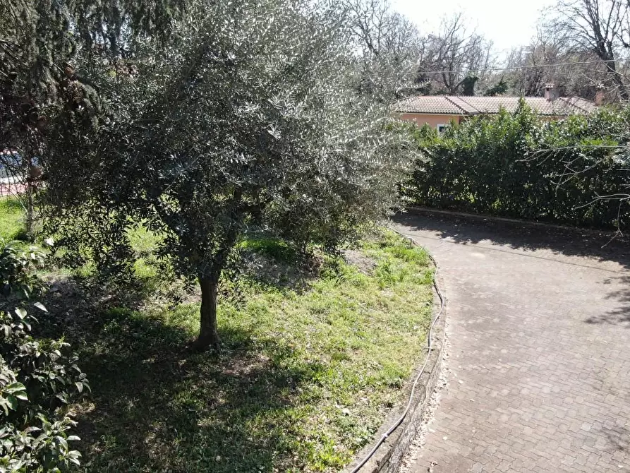 Immagine 72 di Villa in vendita  a Fiumicino