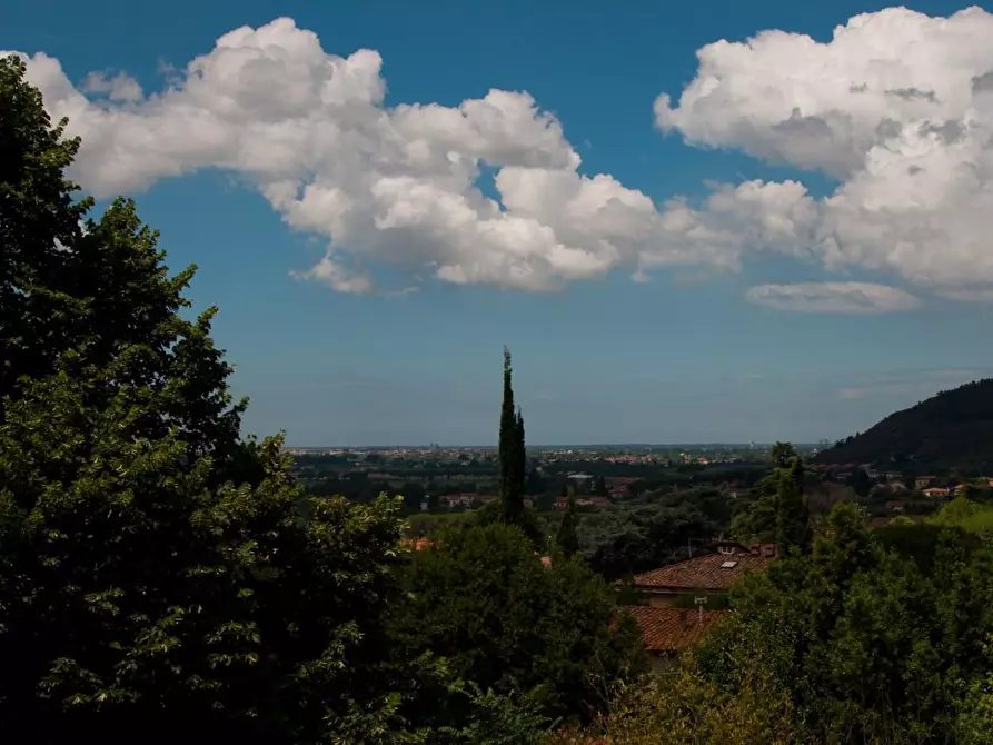Immagine 11 di Villa in vendita  a Calci