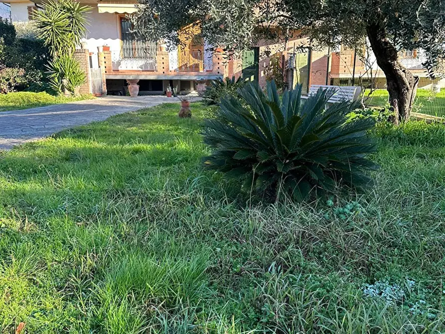 Immagine 7 di Casa bifamiliare in vendita  a Massa