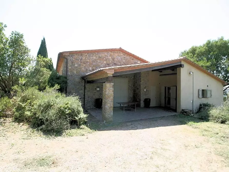 Immagine 6 di Terreno agricolo in vendita  a Scansano