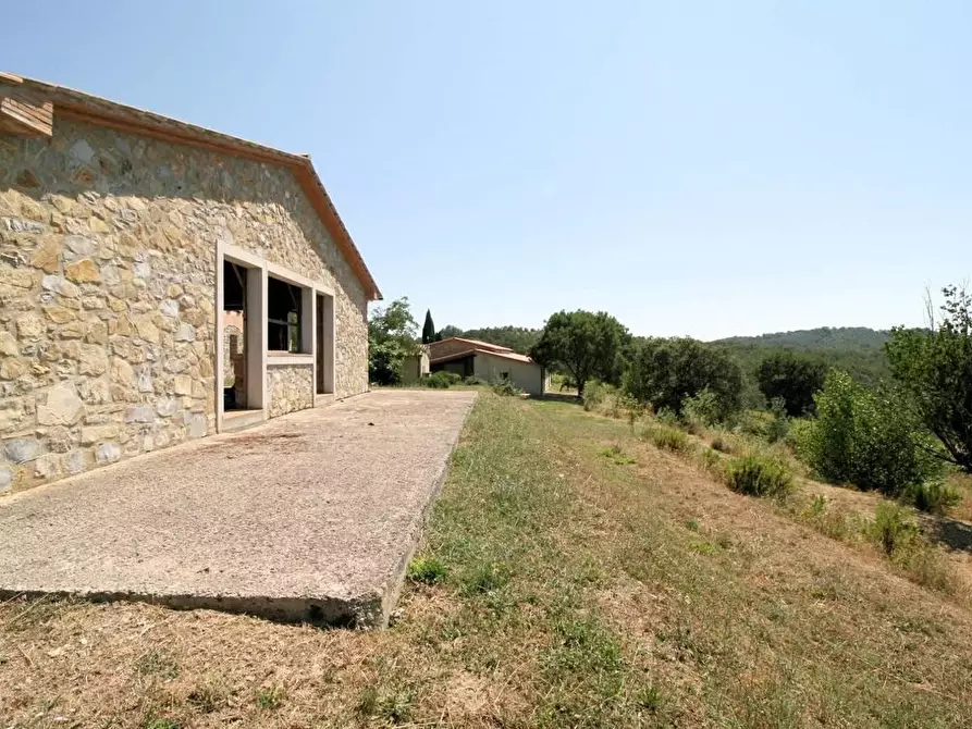 Immagine 7 di Terreno agricolo in vendita  a Scansano