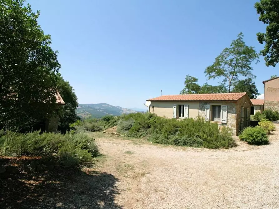 Immagine 5 di Terreno agricolo in vendita  a Scansano