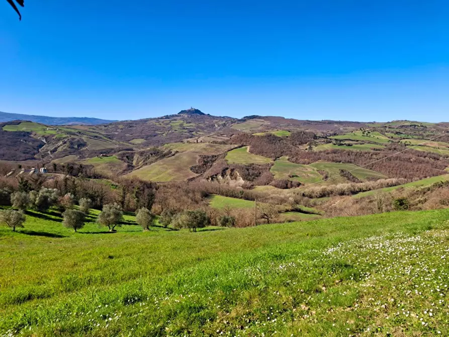 Immagine 58 di Casa colonica in vendita  a San Casciano Dei Bagni