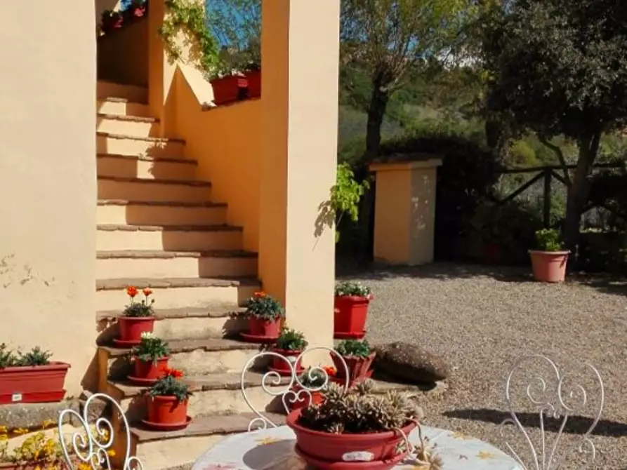 Immagine 47 di Casa colonica in vendita  a San Casciano Dei Bagni