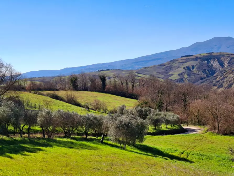 Immagine 57 di Casa colonica in vendita  a San Casciano Dei Bagni