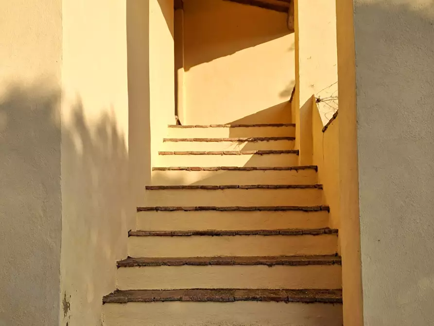 Immagine 43 di Casa colonica in vendita  a San Casciano Dei Bagni