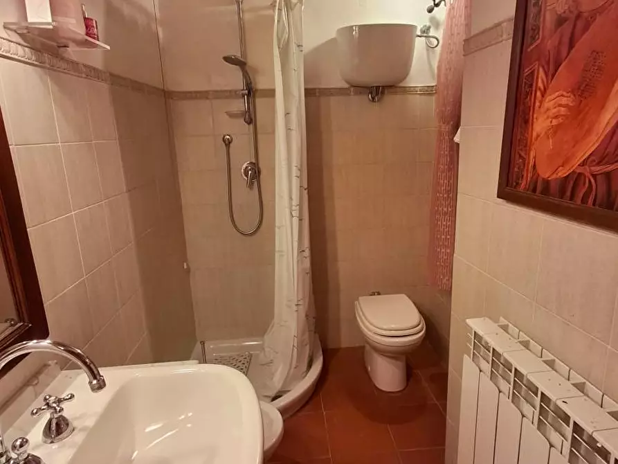Immagine 41 di Casa colonica in vendita  a San Casciano Dei Bagni