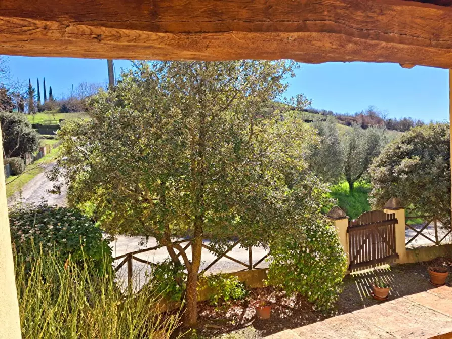 Immagine 49 di Casa colonica in vendita  a San Casciano Dei Bagni