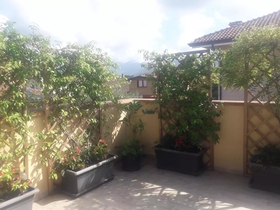 Immagine 7 di Appartamento in affitto  a Pietrasanta