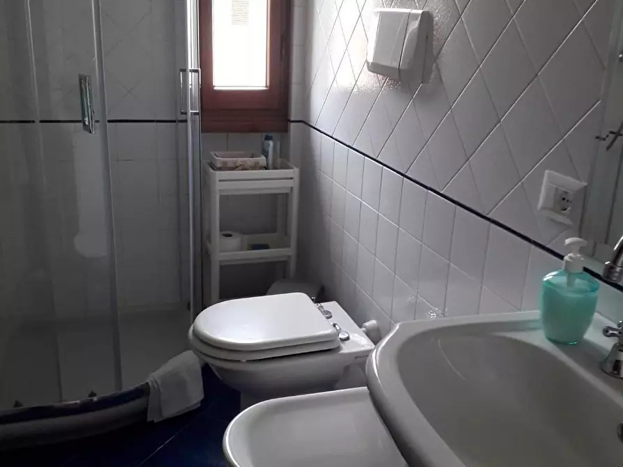 Immagine 20 di Appartamento in affitto  a Pietrasanta