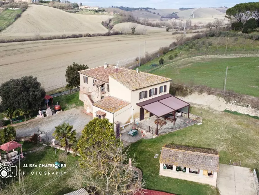 Immagine 3 di Casa indipendente in vendita  a Buonconvento