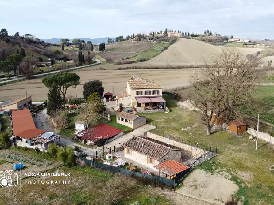 Immagine 5 di Casa indipendente in vendita  a Buonconvento