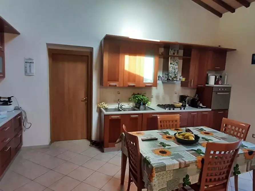 Immagine 7 di Casa colonica in vendita  a Rosignano Marittimo