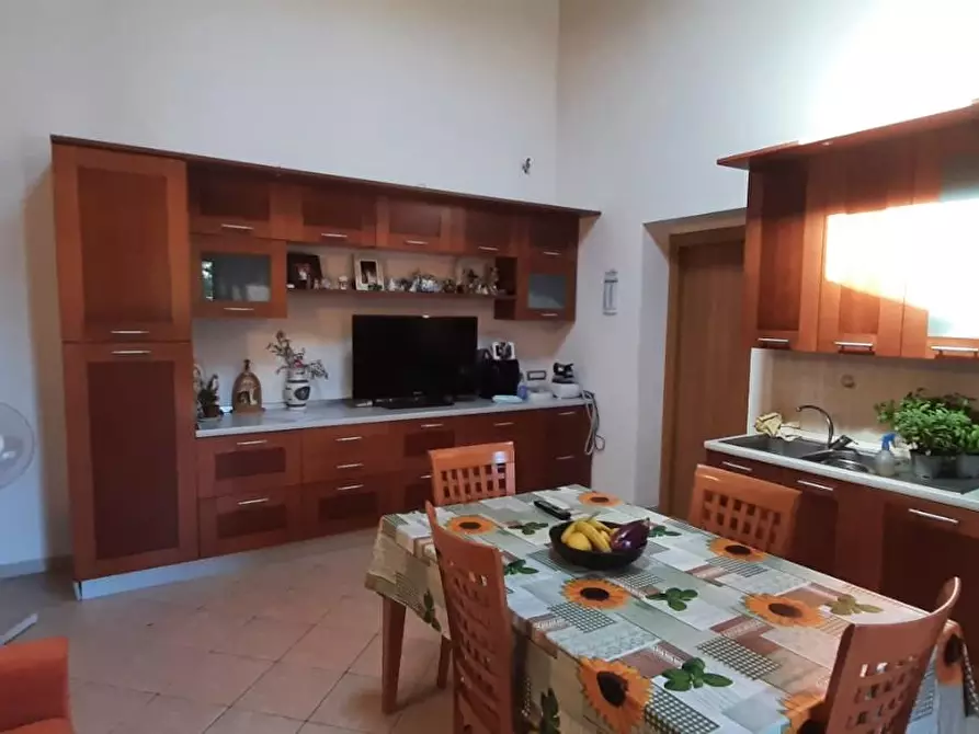 Immagine 9 di Casa colonica in vendita  a Rosignano Marittimo