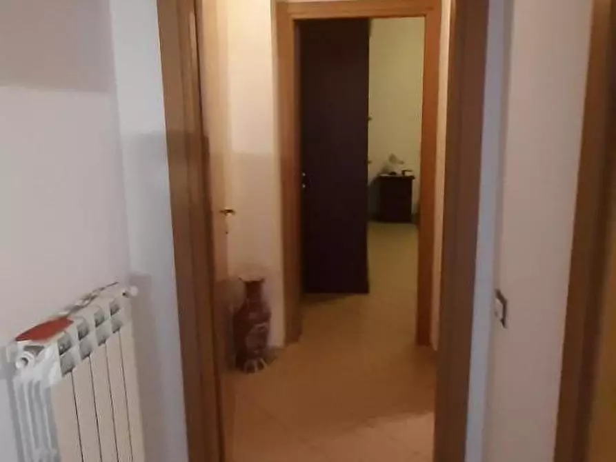 Immagine 19 di Casa colonica in vendita  a Rosignano Marittimo