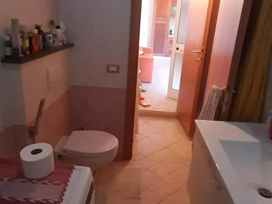 Immagine 11 di Casa colonica in vendita  a Rosignano Marittimo