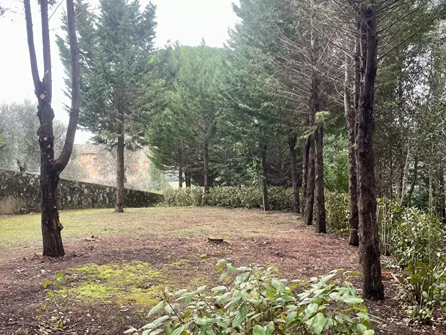 Immagine 6 di Terreno agricolo in vendita  a Siena