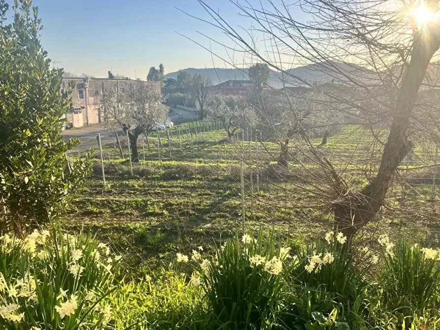 Immagine 28 di Terratetto in vendita  a Castelnuovo Magra